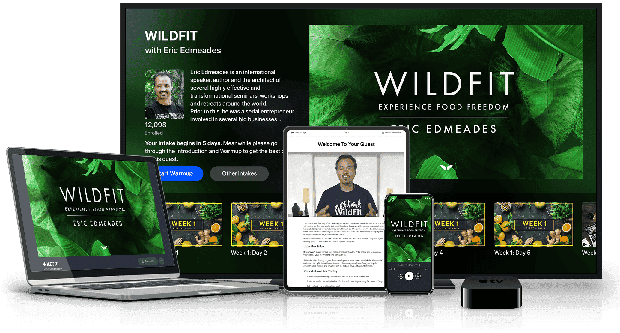 Illustration 2